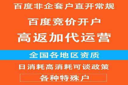 竞价托管SEM的创意与实践：多行业案例集